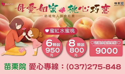 [苗栗]:母愛如蜜･桃心巧意~助植物人膳食經費