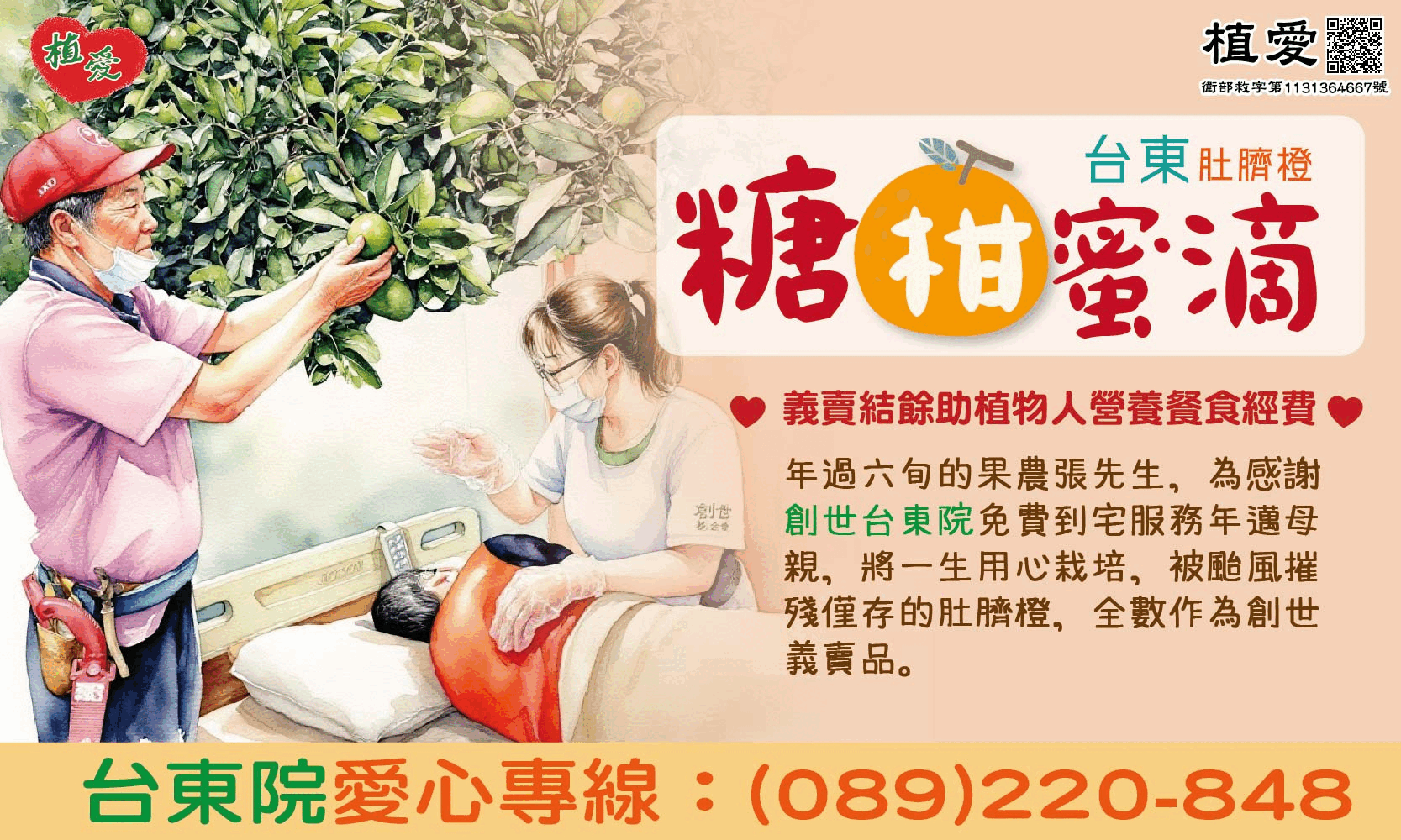 [台東]:糖柑蜜滴-肚臍橙義賣助植物人營養餐食經費