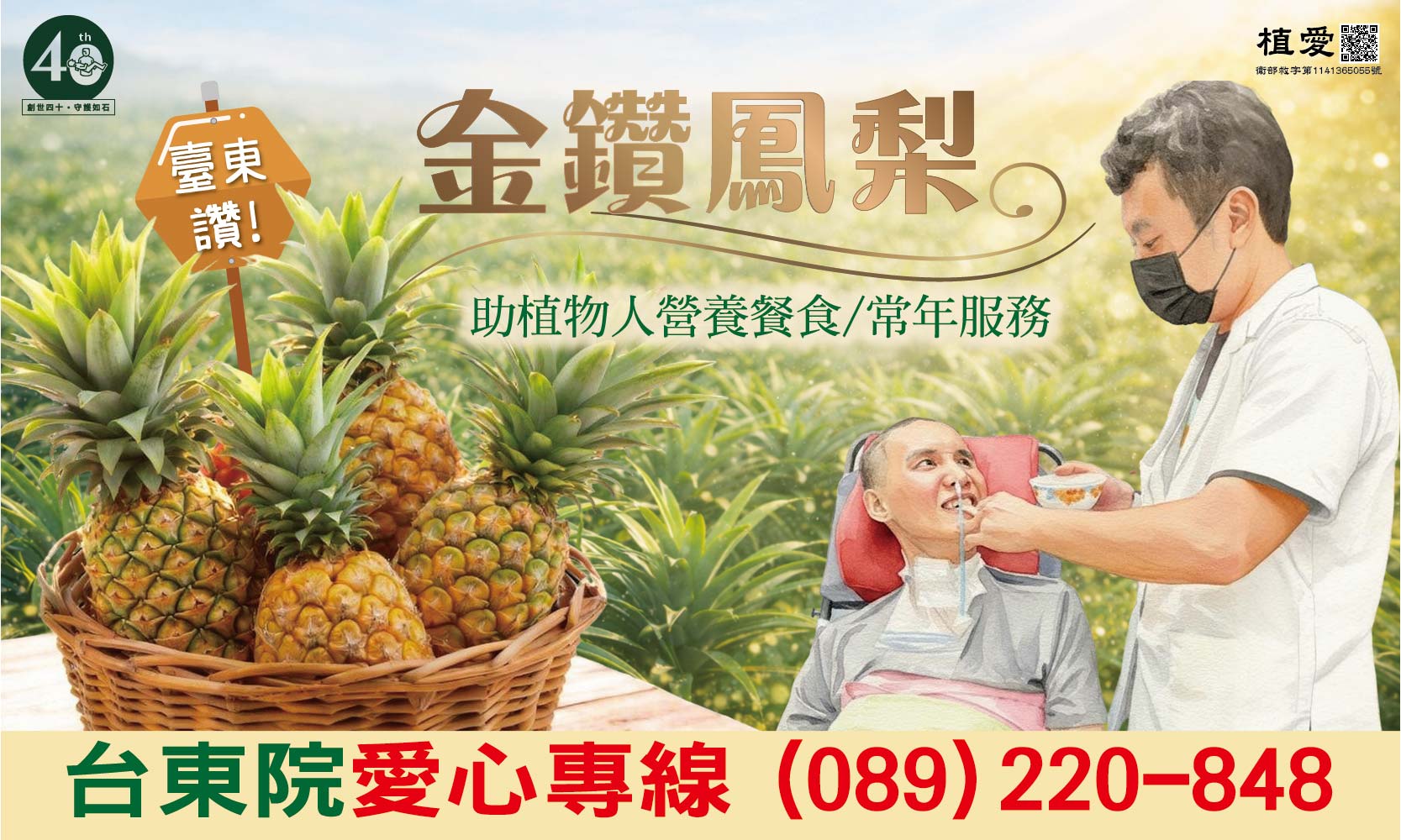 [臺東]:臺東讚 金鑽鳳梨 助植物人營養餐食/安養服務