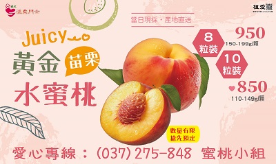 [苗栗]:Juicy~預定香甜「苗栗黃金水蜜桃」，助植物人營養餐食